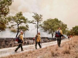 En el combate al fuego participaron mil 585 brigadistas. ESPECIAL