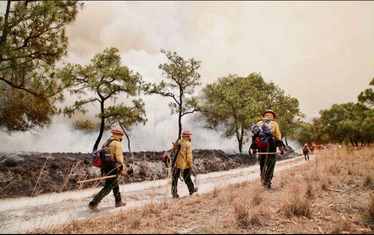 En el combate al fuego participaron mil 585 brigadistas. ESPECIAL