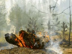 El humo de los incendios forestales está compuesto por una mezcla de gases producidos por la combustión de la vegetación y pequeñas partículas en suspensión. APF / ARCHIVO
