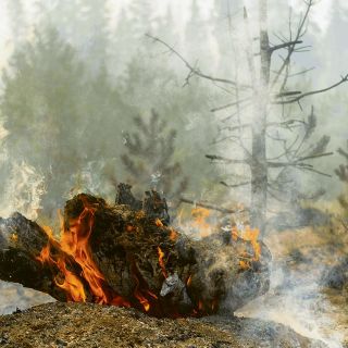 Humo de incendios forestales podría generar problemas de salud