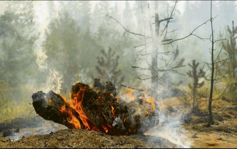El humo de los incendios forestales está compuesto por una mezcla de gases producidos por la combustión de la vegetación y pequeñas partículas en suspensión. APF / ARCHIVO