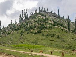 Nueve personas murieron y tres más resultaron heridos debido a un deslizamiento de tierra en una montaña ocurrido el domingo, cerca de la aldea de Bateri, en el distrito de Kinnaur de Himachal Pradesh. AP / ARCHIVO