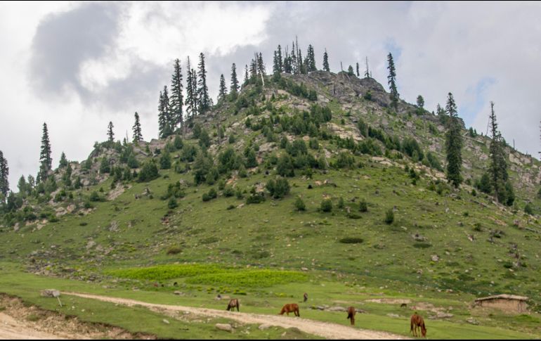 Nueve personas murieron y tres más resultaron heridos debido a un deslizamiento de tierra en una montaña ocurrido el domingo, cerca de la aldea de Bateri, en el distrito de Kinnaur de Himachal Pradesh. AP / ARCHIVO