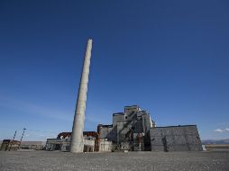 Especialistas consideran que podrían haber dificultades para el desarrollo de sus plantas. EFE/ ARCHIVO