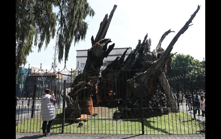 El nombre de la antes llamada Plaza de la Noche Triste, ubicada en el noroeste de la Ciudad de México, llevaba décadas siendo cuestionado por algunas organizaciones. EFE/M. Guzmán
