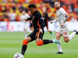 Jugador del PSV Eindhoven, anotó 19 goles la pasada temporada en el campeonato neerlandés, donde su equipo fue segundo detrás del Ajax. AFP/K. VAN WEEL