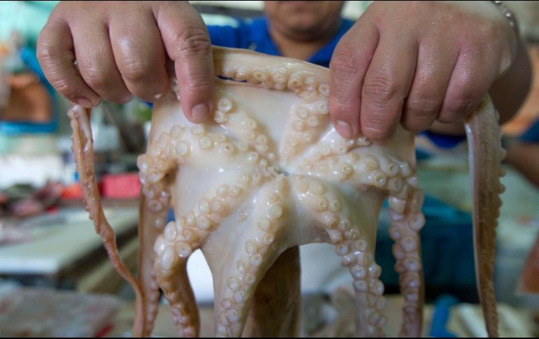 Dzilam de Bravo es un puerto de pescadores de Yucatán, que se ubica en el litoral norte de la Península. NTX/ARCHIVO
