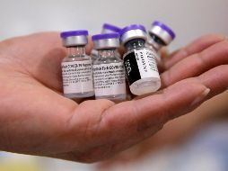 Pfizer revela que su facturación en los primeros seis meses de 2021 ascendió a 33 mil 559 millones, un 68% más interanual, sobre todo gracias a la fuerte contribución de las ventas de la vacuna anticovid en el segundo y más reciente trimestre. AFP / ARCHIVO