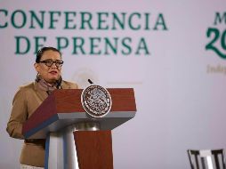 La secretaria de la SSPC, Rosa Icela Rodríguez dice que la empresa israelí usó compañías fachadas 