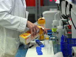 Se explica a qué se le puede llamar frutas cítricas, frutas sanas, frutas o vegetales maduros, pulpas, pures, entre otras cosas. AFP/ARCHIVO