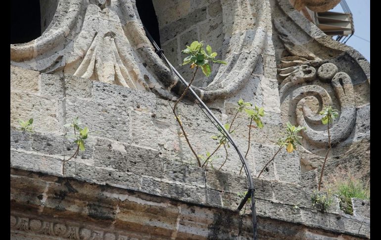 En su mayoría, los daños consisten en grietas, filtraciones y hundimientos, que de acuerdo con los asistentes al recorrido, no han terminado de ser reconocidos por la SCT. EL INFORMADOR/G. Gallo