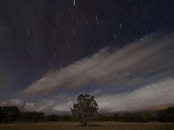 Los astrónomos no escatiman al aseverar que las Perseidas son su Lluvia de estrellas favoritas. AFP/ARCHIVO