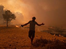 Ola de calor en el sureste de Europa aviva los incendios forestales