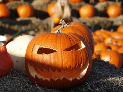 Esta película tiene lugar cronológicamente tras los sucesos del filme 