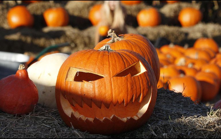 Esta película tiene lugar cronológicamente tras los sucesos del filme 