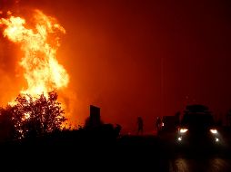 Se han presentado un total de 92 incendios forestales. EFE/ Y. Kolesidis