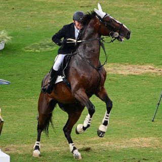 Tokio 2020: Pentatletas mexicanos finalizan entre los últimos lugares