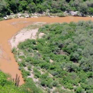 Viven pesadilla en el río Sonora