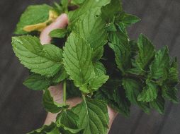 ESPECIAL / Photo by S. Laiba Ali on Unsplash