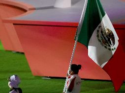 A LA BAJA. La desaparición del fideicomiso cobró factura en los resultados. XINHUA