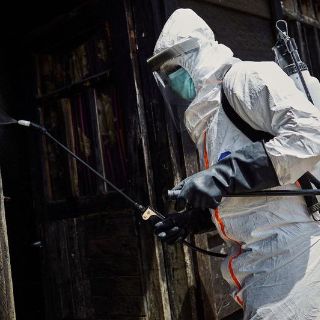 África confirma la primera muerte por el virus de Marburgo