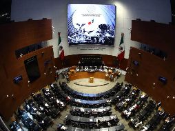 La propuesta se aprobó con 25 votos a favor, siete en contra y tres abstenciones. SUN/D. Simón