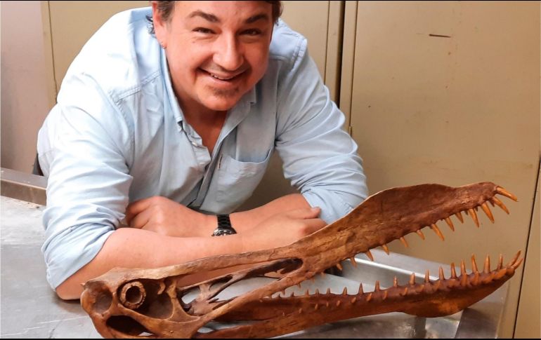 Logró llegar a tener una altura de hasta siete metros. EFE/ Universidad de Queensland