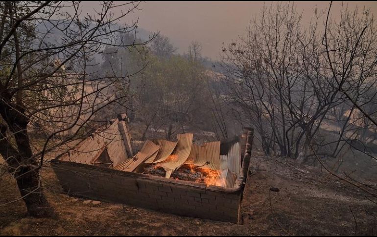Los incendios declarados en la región de Cabilia se ven agravados por la ola de calor que sufre la región. AFP/R. Kramdi