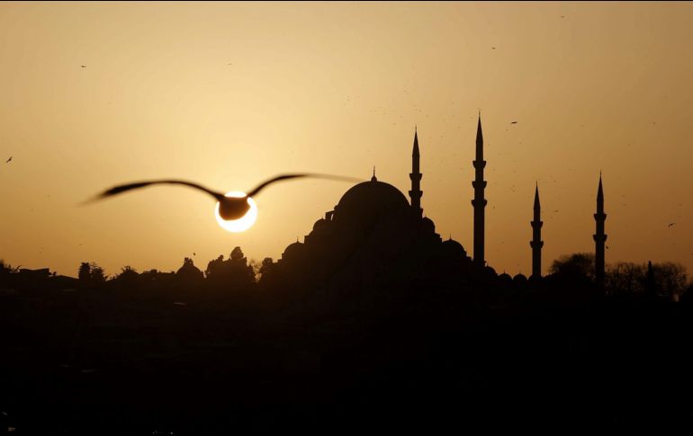 Los premios de mejor jugadora por demarcación (portera, defensora, mediocampista y delantera) de la Liga de Campeones Femenina 2020-21 se entregarán el próximo 26 de agosto en Estambul. EFE / ARCHIVO