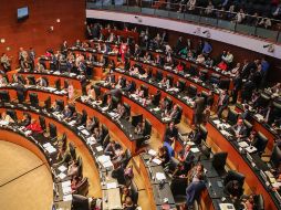 Senadoras como Nancy de la Sierra, del Partido del Trabajo (PT), y la priista Claudia Ruiz Massieu abandonaron la sesión. NTX/ARCHIVO