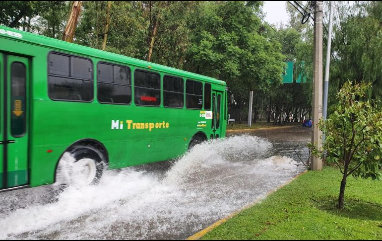 La lluvia de esta mañana comenzó alrededor de las 9:30 horas. EL INFORMADOR/E. Gómez