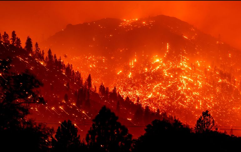 En total, Dixie ha quemado más de 253,600 hectáreas y solo ha sido contenido en un 31 %. AP / N.Berger