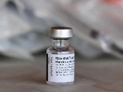 La tercera dosis será aplicada ocho meses después de la anterior. AFP/ F. J. Brown