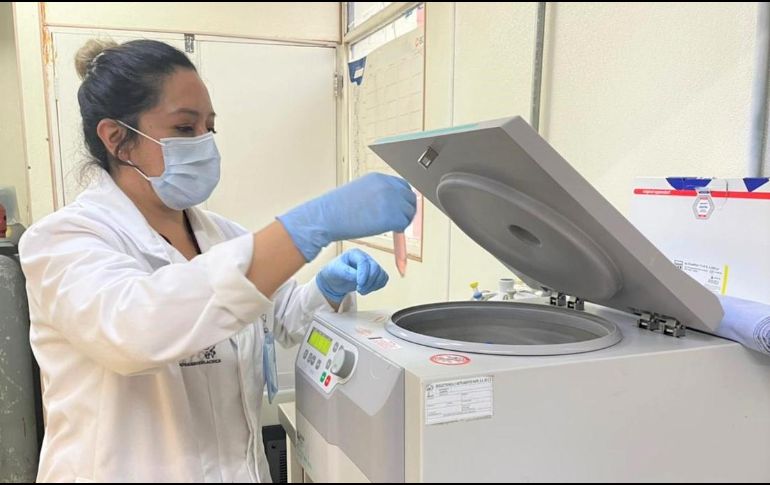 Luego de confirmar su eficacia, el tratamiento de Castillo Juárez ya se encuentra en proceso de ser patentado. Twitter@IPN_MX