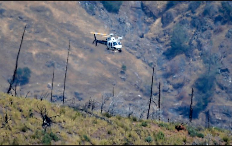 Un helicóptero sobrevuela en un área remota al norte de Mariposa, California, en la zona donde se reportó el hallazgo de la familia. AP/The Fresno Bee/C. Kohlruss