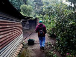 Las familias con ingresos de hasta un salario mínimo enfrentaron una carestía de 12.5% en los primeros 32 meses de la administración actual. EFE/ARCHIVO