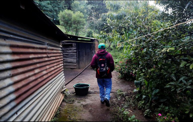 Las familias con ingresos de hasta un salario mínimo enfrentaron una carestía de 12.5% en los primeros 32 meses de la administración actual. EFE/ARCHIVO