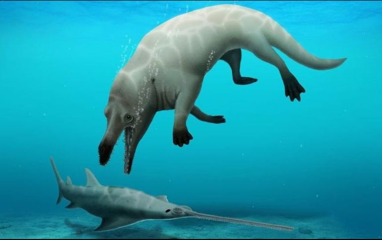 DR ROBERT W. BOESSENECKER