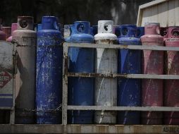 En el Estado de México, cada kilogramo se venderá en promedio en 22.37 pesos, precio que estará vigente hasta el próximo 3 de septiembre. EL INFORMADOR/ARCHIVO