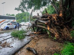 La tormenta tropical “Nora” se intensificó a huracán categoría 1 en el océano Pacífico, frente a las costas de Jalisco y de Colima, tras pasar por Guerrero. EFE/D. Guzmán
