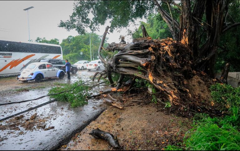 La tormenta tropical “Nora” se intensificó a huracán categoría 1 en el océano Pacífico, frente a las costas de Jalisco y de Colima, tras pasar por Guerrero. EFE/D. Guzmán