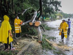 Durante su paso por Jalisco, “Nora” causó la muerte de un menor de 13 años en Puerto Vallarta, se registraron inundaciones en varias colonias y árboles caídos. EFE / ARCHIVO