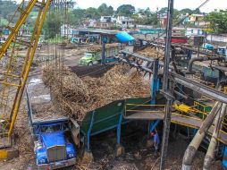 Fotografía cedida hoy por la Secretaría de Agricultura y Desarrollo Rural, donde se observa a personas trabajando en un ingenio azucarero. EFE/Sader