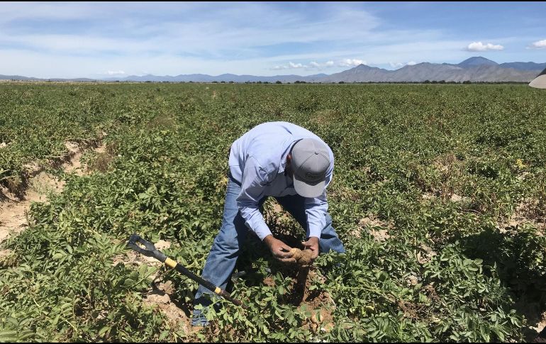 El plazo para que la información se haga pública es de 30 días hábiles. EFE/ARCHIVO