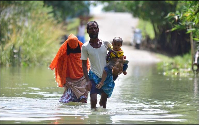 Un parque declarado Patrimonio de la Humanidad por la UNESCO corre peligro de inundación. XINHUA/ STR