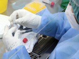 Con el Protocolo de Biocontención, PiSA Agropecuaria garantiza al productor pecuario la seguridad de sus más de 260 productos. EFE/ARCHIVO