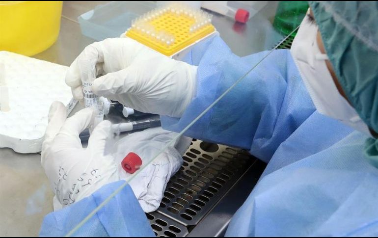 Con el Protocolo de Biocontención, PiSA Agropecuaria garantiza al productor pecuario la seguridad de sus más de 260 productos. EFE/ARCHIVO