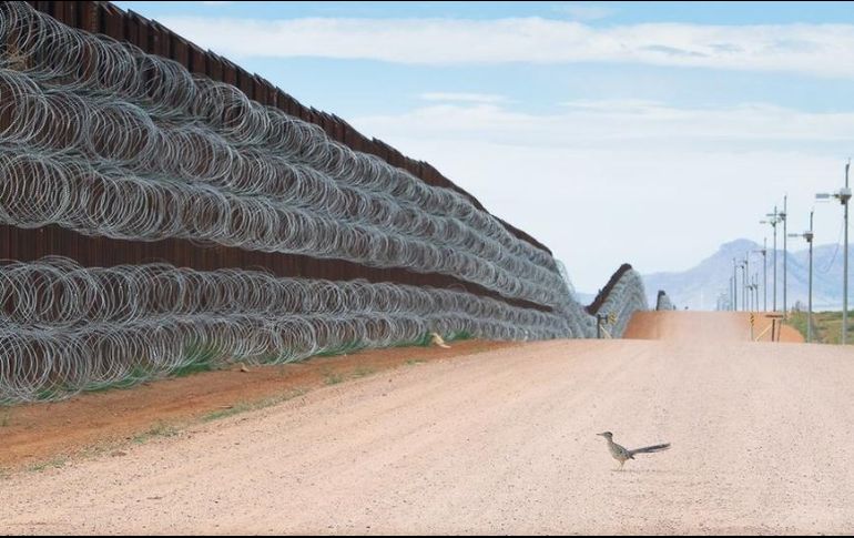 Alejandro Prieto ha documentado la vida salvaje y los ecosistemas de la frontera sur de Estados Unidos. ALEJANDRO PRIETO / BIRD PHOTOGRAPHER OF THE YEAR