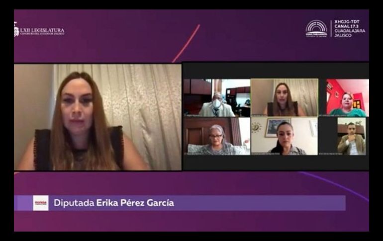 La diputada de Morena, Érika Pérez García, que votó en abstención, adelantó que en el pleno propondrá cambios al dictamen. ESPECIAL