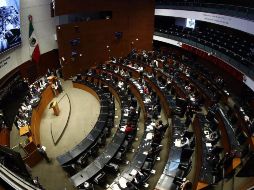 Destacan la importancia de esta reforma que obligará a las empresas a prohibir dichas prácticas y a conducirse con ética y respeto a los animales. SUN/ARCHIVO